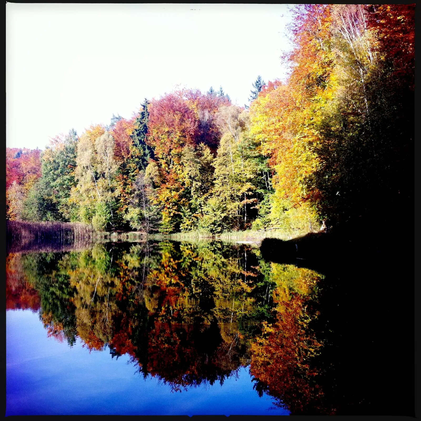 Brandenburg Baa-See l Seeblick von der Waldschenke