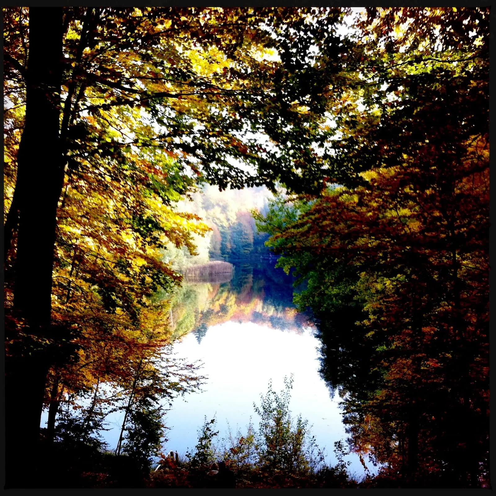 Brandenburg Baa-See l Seeblick