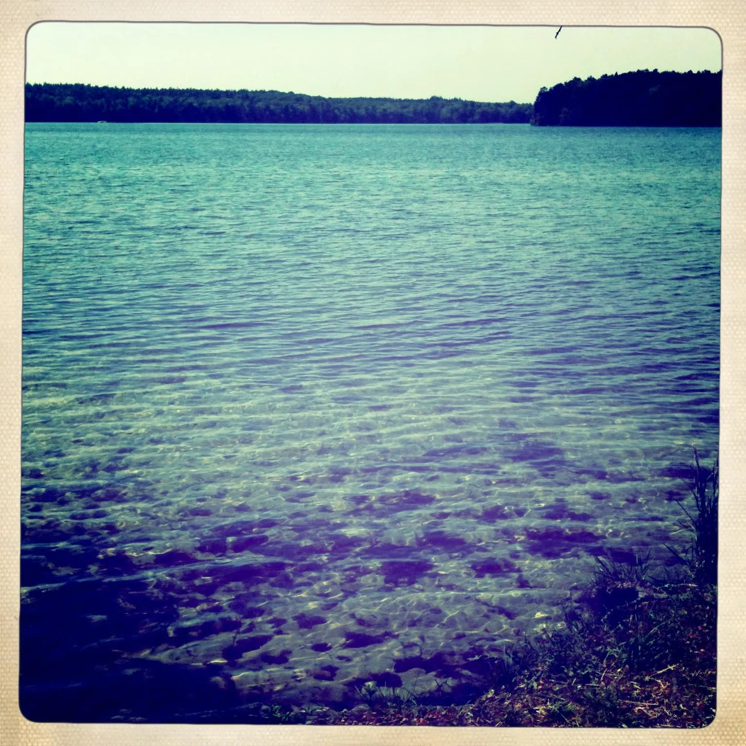 Am Ufer des grossen Stechlinsees