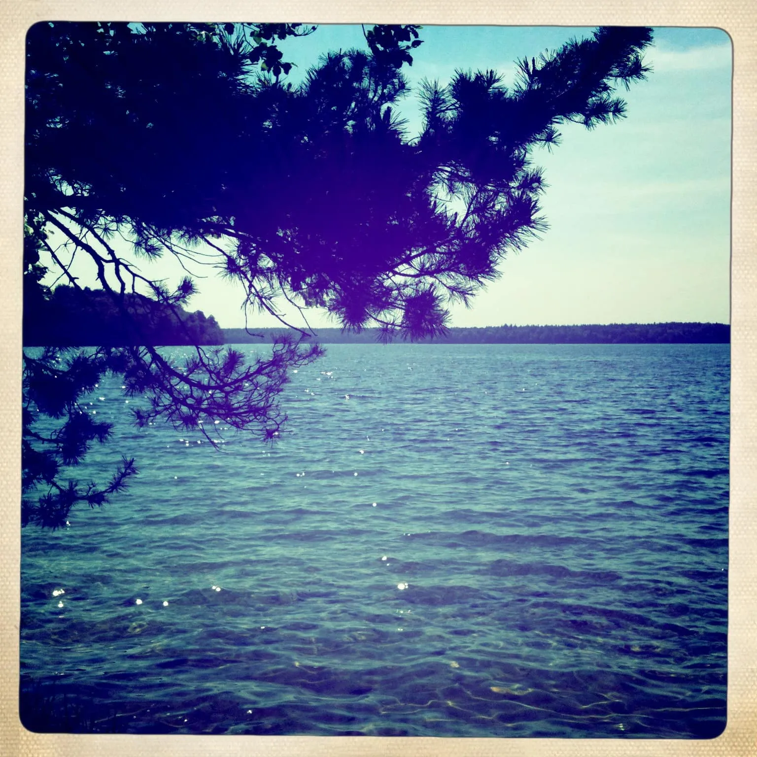 Am Ufer des grossen Stechlinsees