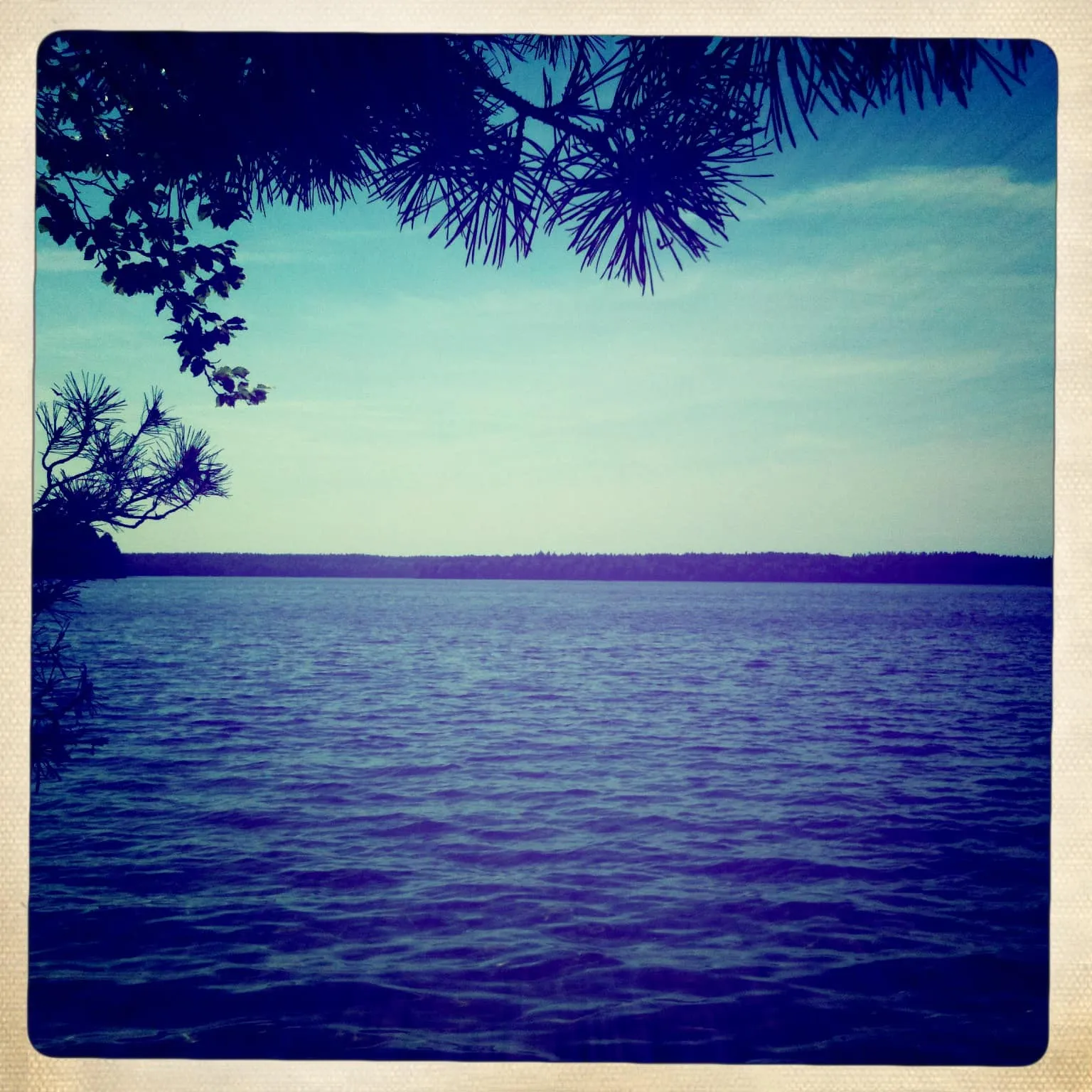 Blick vom Wald auf den grossen Stechlinsee