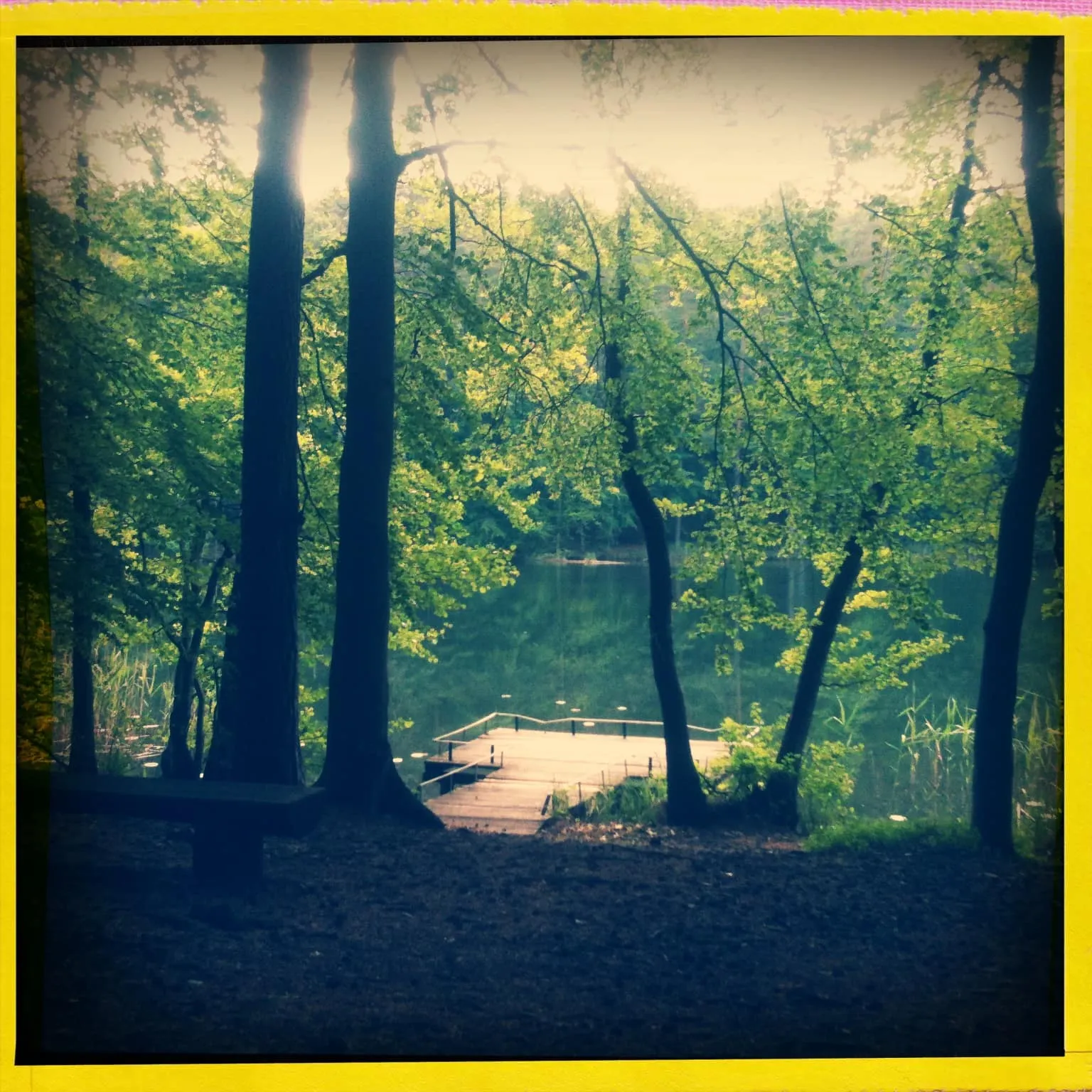 Brandenburg-Waldschenke-Stendenitz-Wald