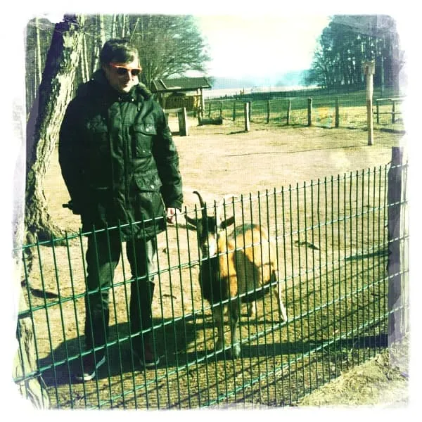 Streichelzoo im Wildpark Schorfheide