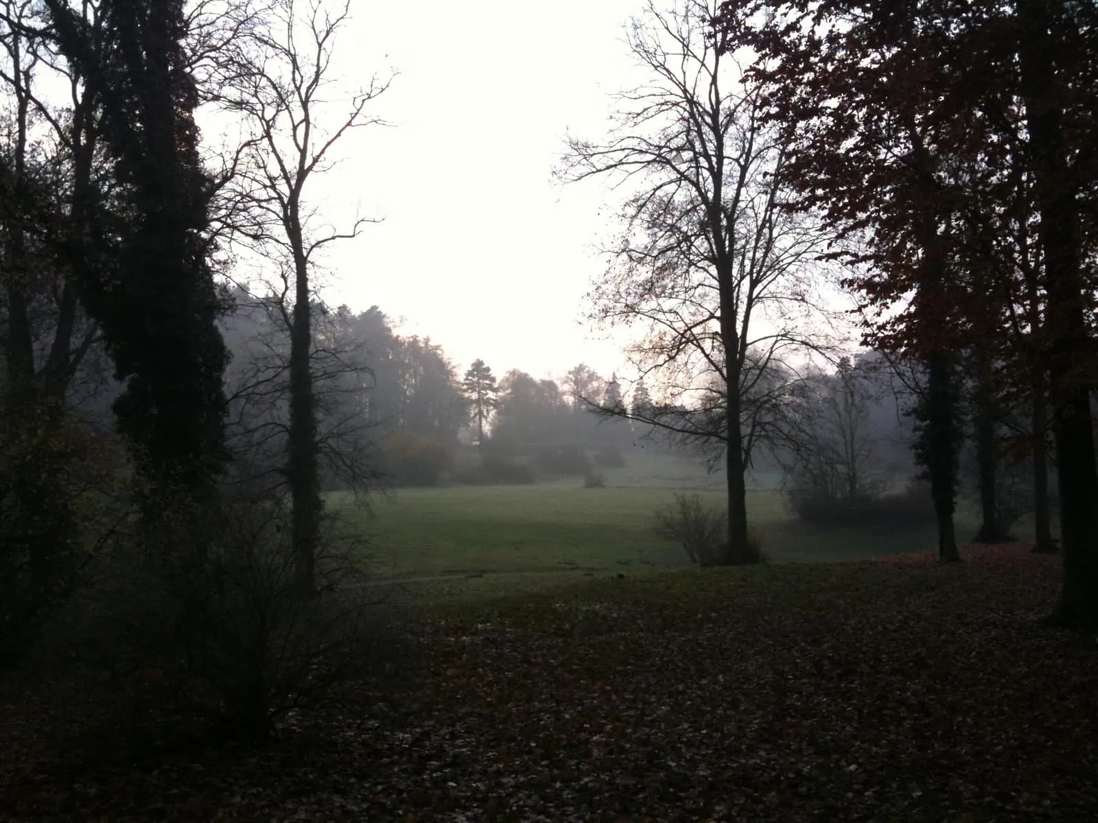 Kloster-Chorin-6