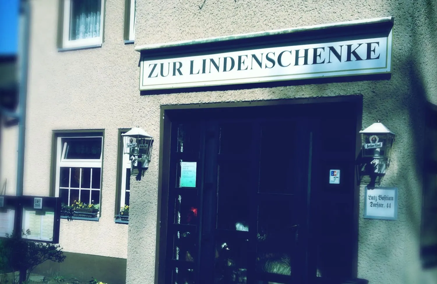Spargel in Elsholz
