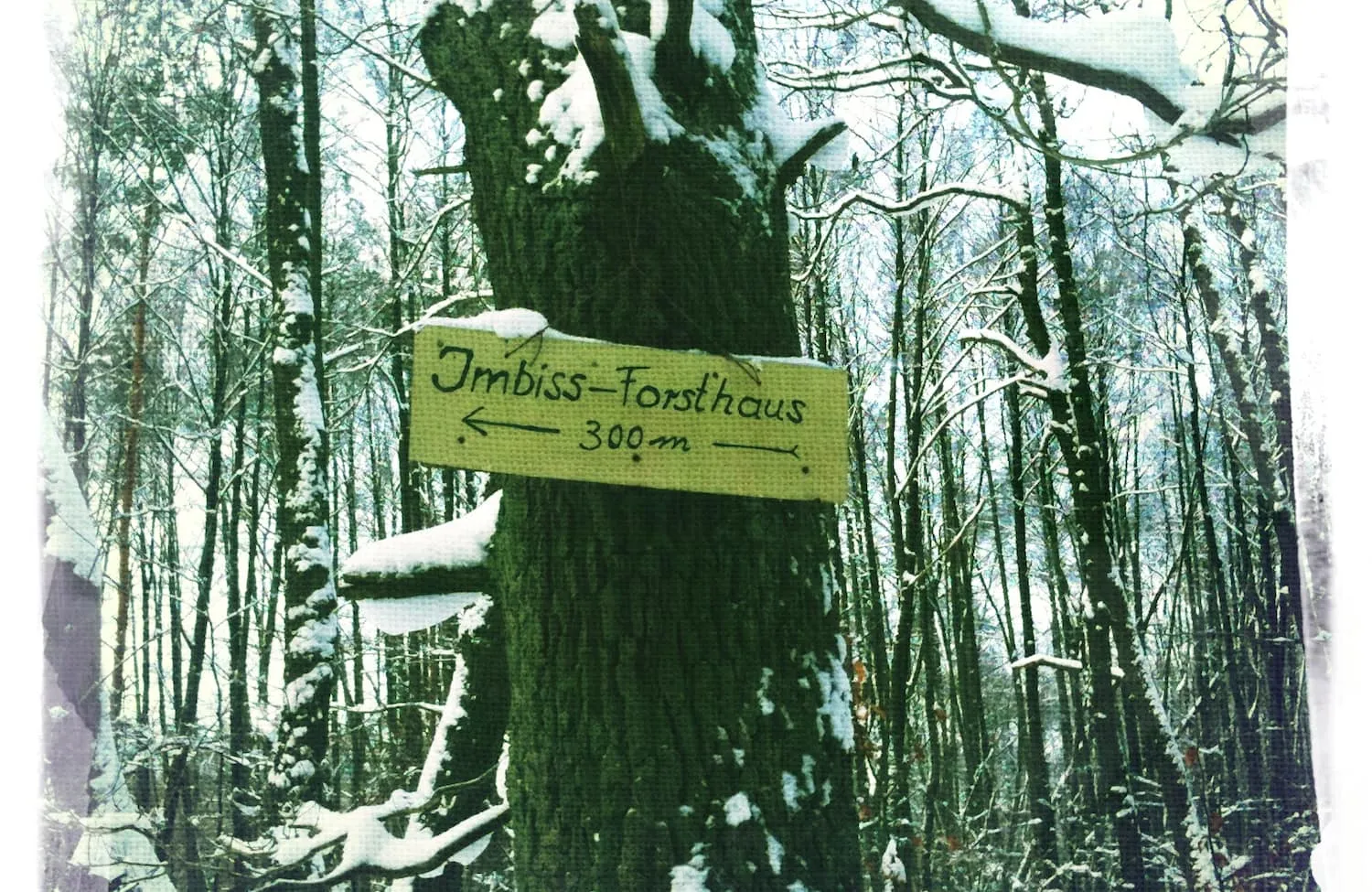 Mühlenbecker Land – schönes winterliches Brandenburg