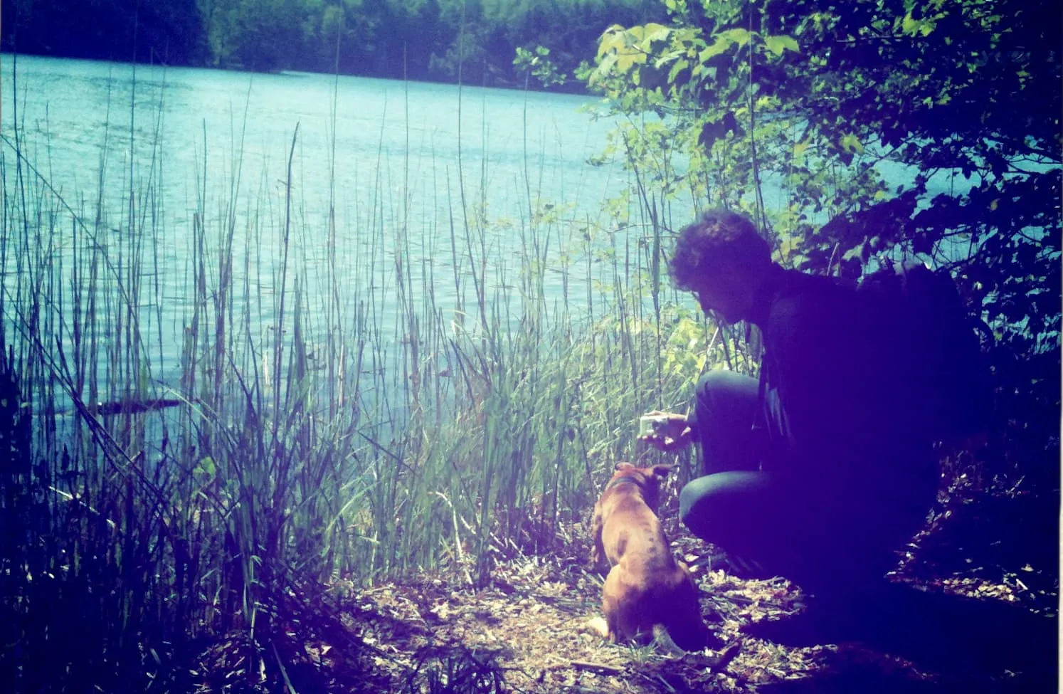 Waldspaziergang am Liepnitzsee