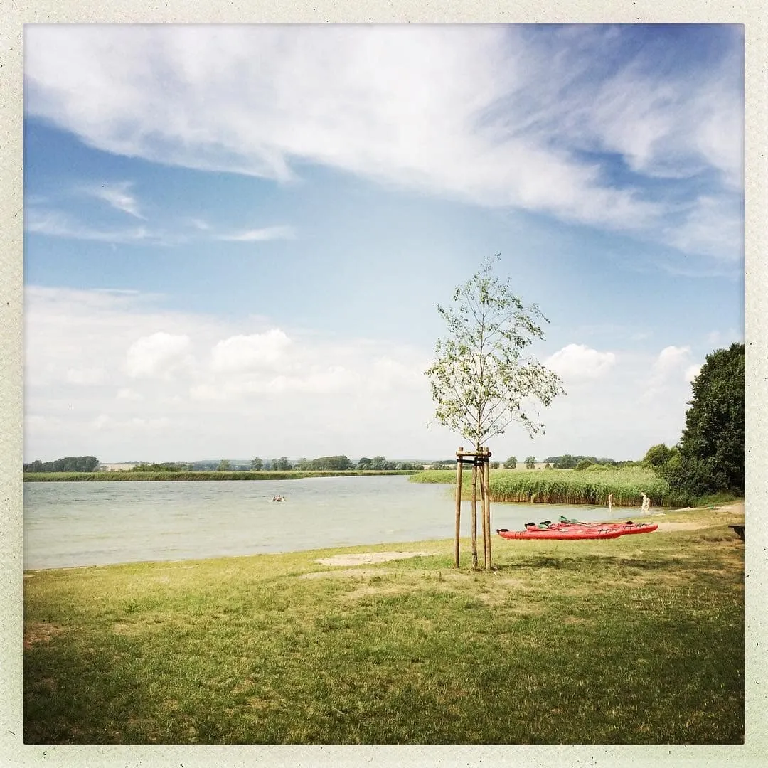 Badestelle Am Quast am Oberuckersee – November in der Uckermark