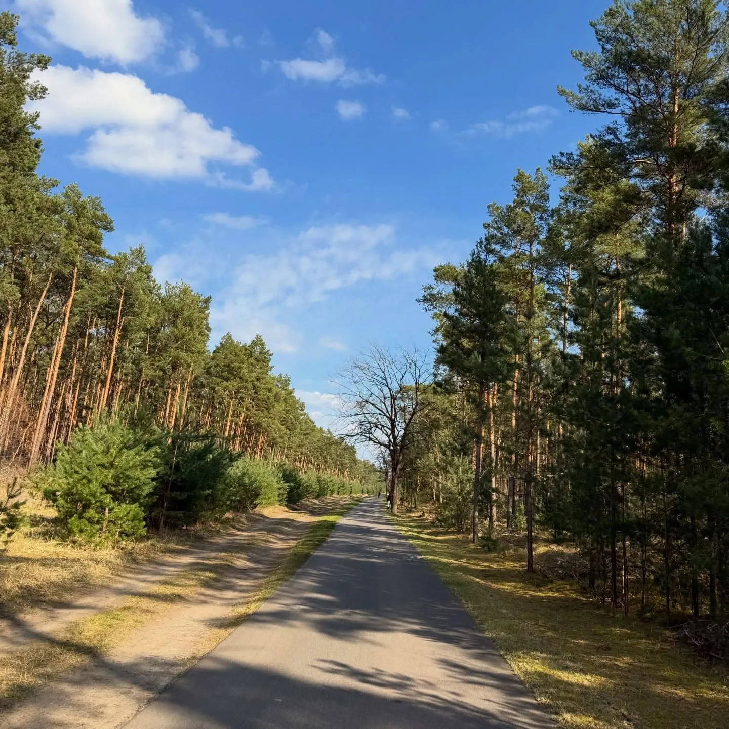 Fläming Skate RK2 – 12 km Anfängerrunde ab Luckenwalde