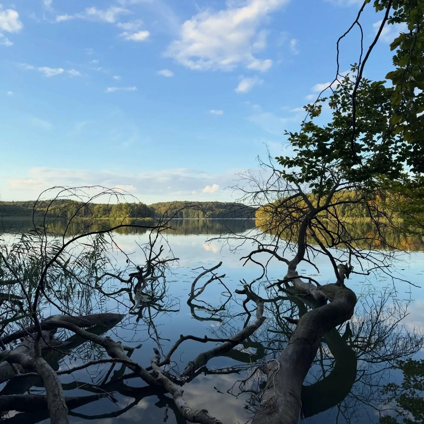 Forsthaus Tornow bei Neuruppin – Waldhaus am Großen Tornowsee