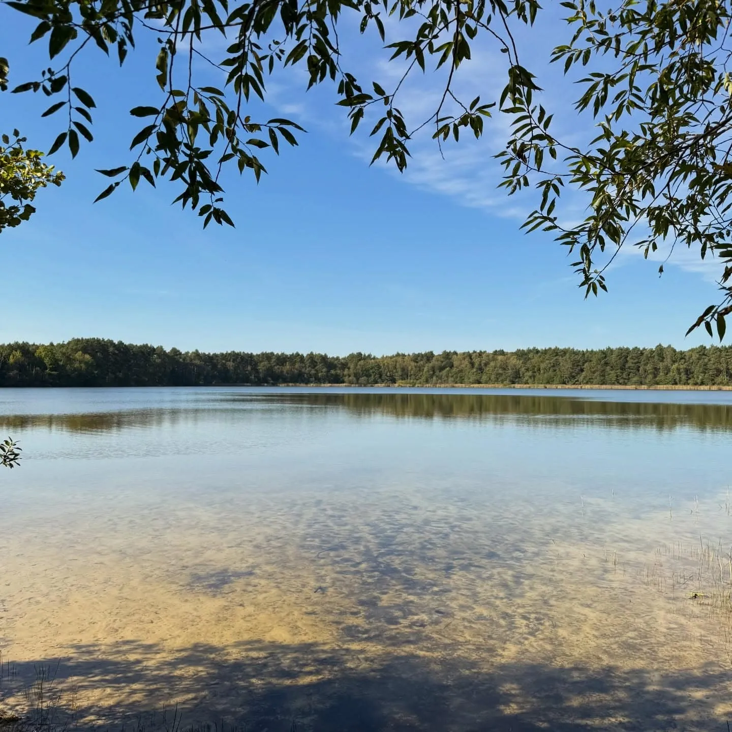 Groß Köris – 8-km-Runde um Großen Roßkardtsee und Güldensee