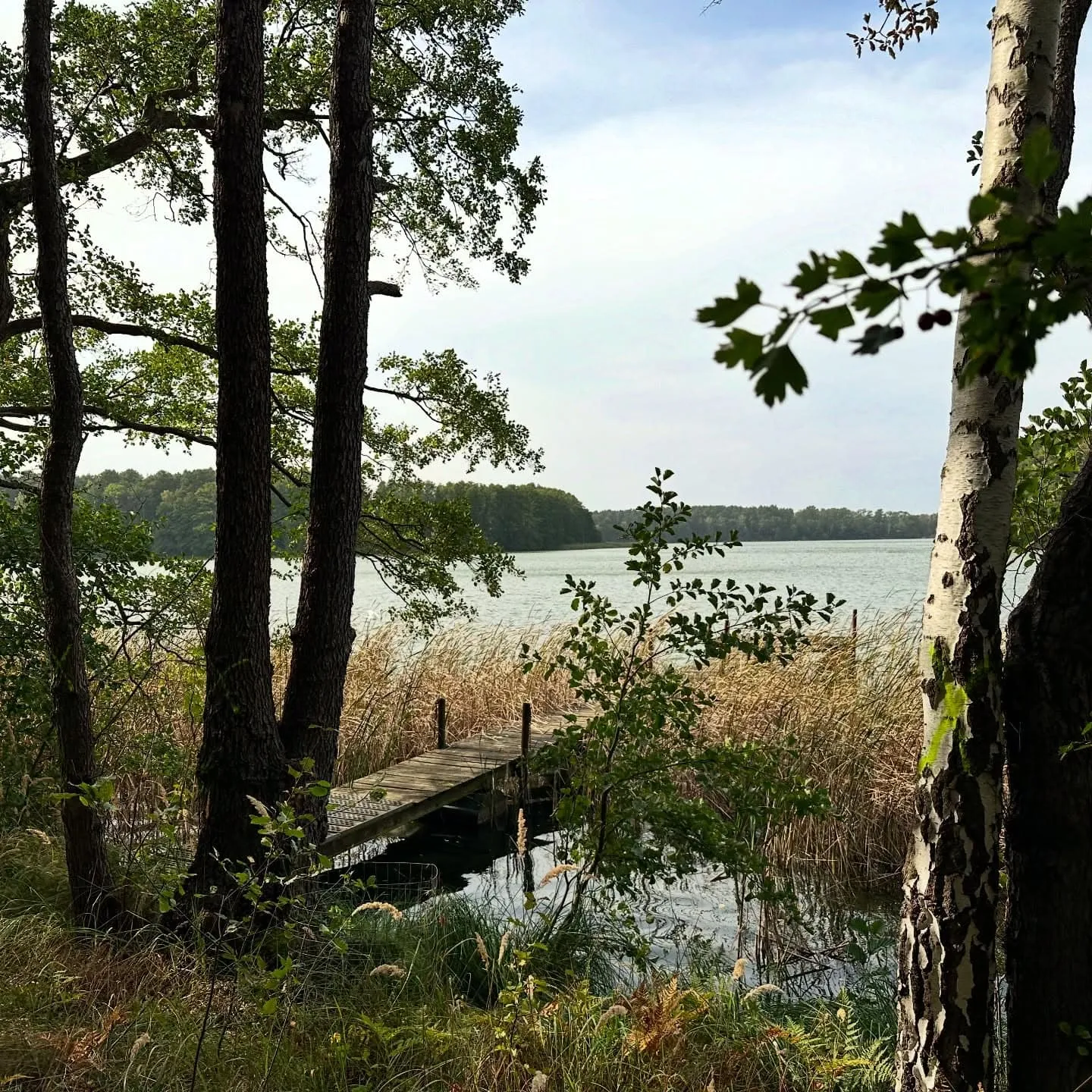 Großer Mochowsee – 9-km-Seerunde in der Niederlausitz