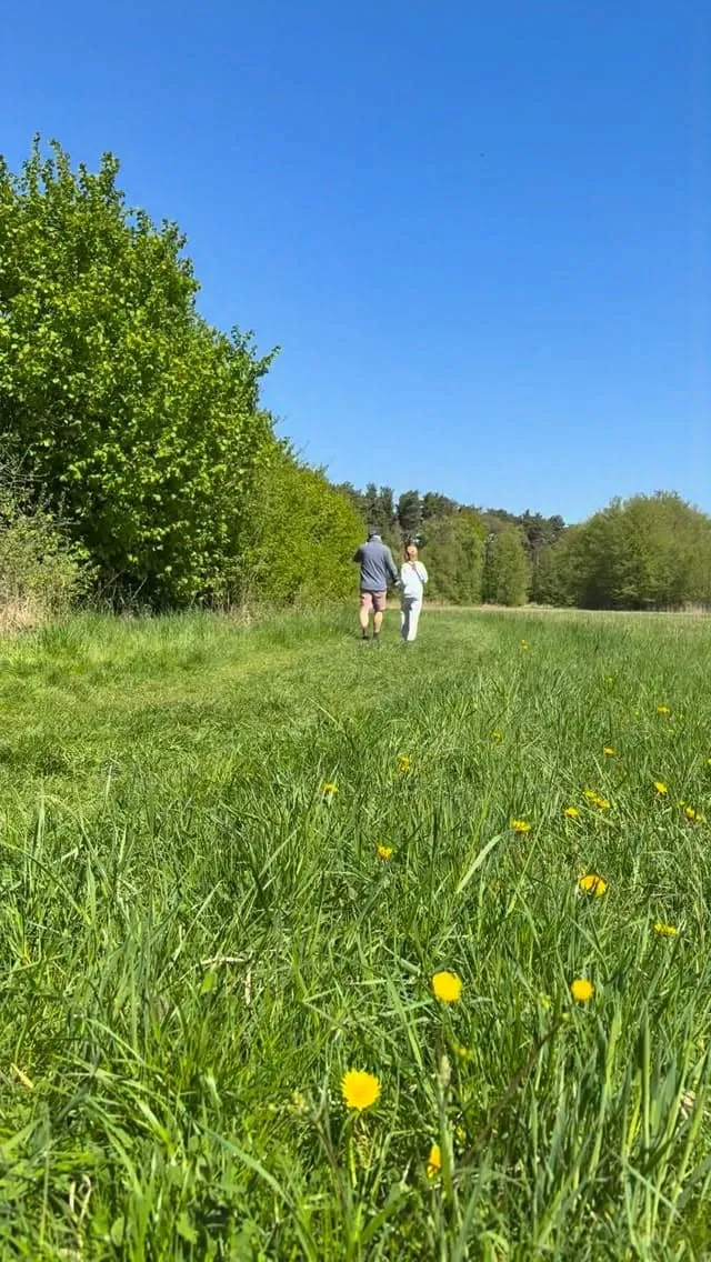 Großer Wochowsee bei Storkow – ein Frühlingsnachmittag am Waldsee
