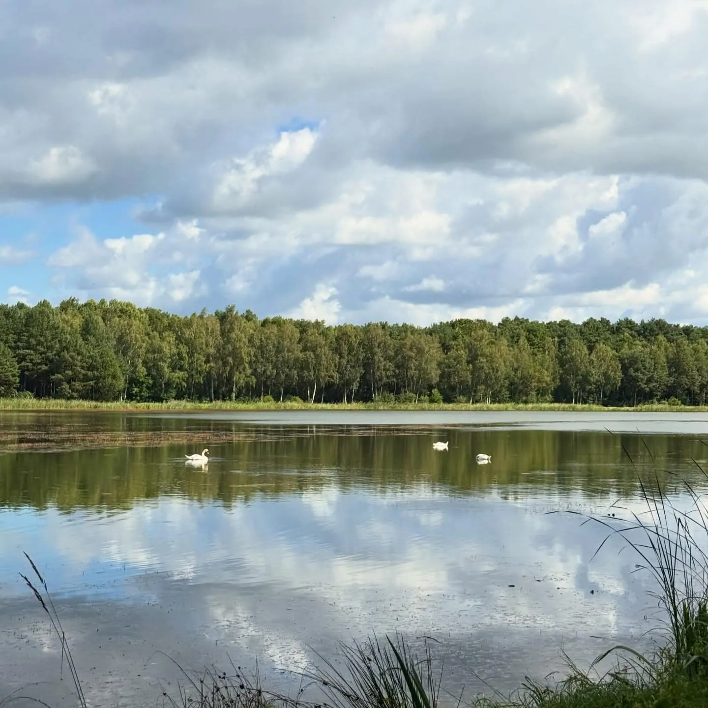 Hartmannsdorf bei Lübben – 12-km-Runde zwischen Ober- und Unterspreewald