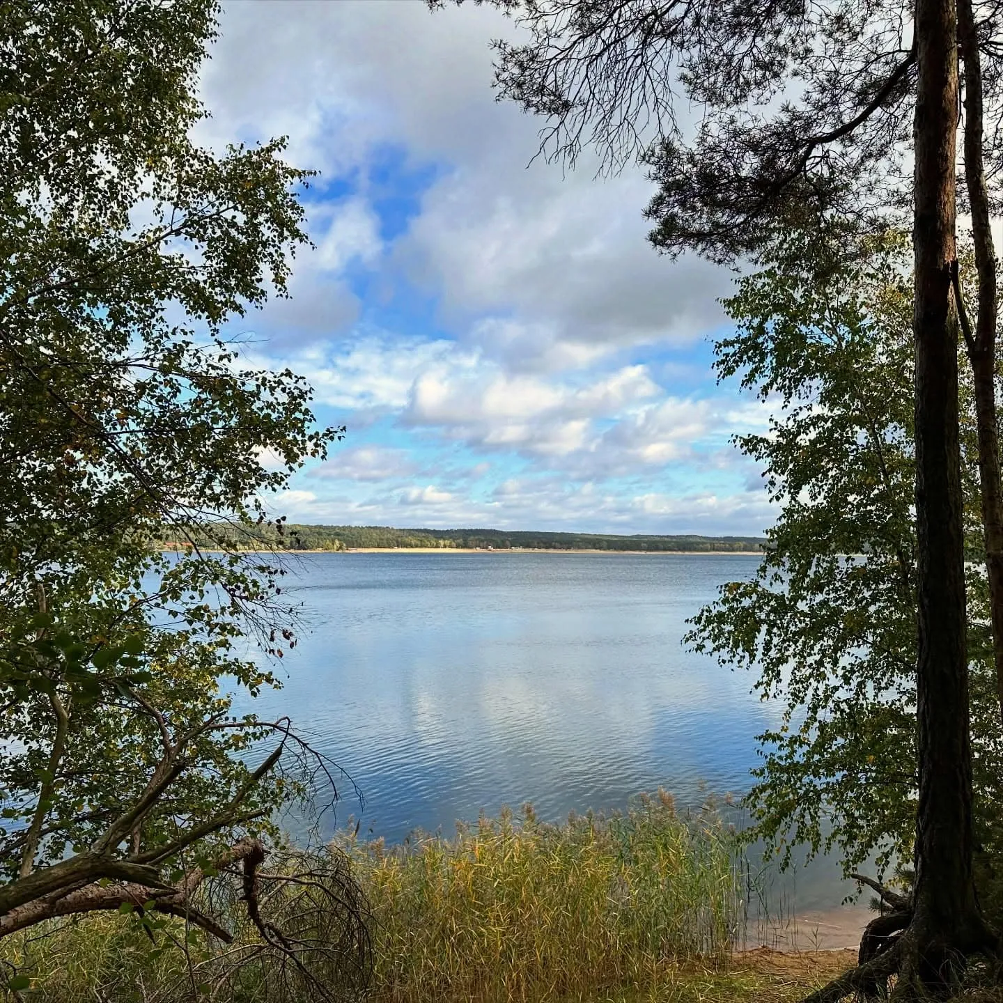 Helenesee und Katjasee – 12,5-km-Runde bei Frankfurt (Oder)