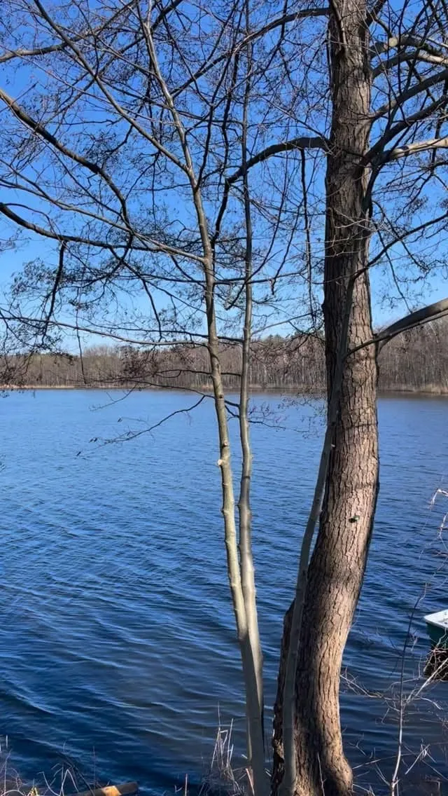 Krummer See und Sutschketal – 9-km-Wanderrunde bei Bestensee