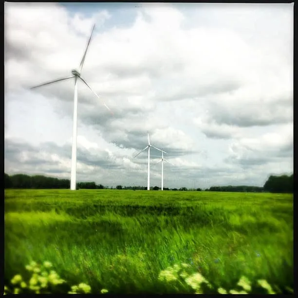 Landstraße und Windpark – Brandenburg-Roadtrip im Juni