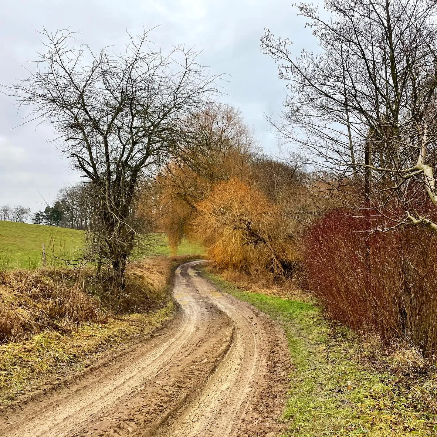 Drei Neujahrsspaziergänge in Brandenburg – Uckermark, Spreewald, Gamengrund