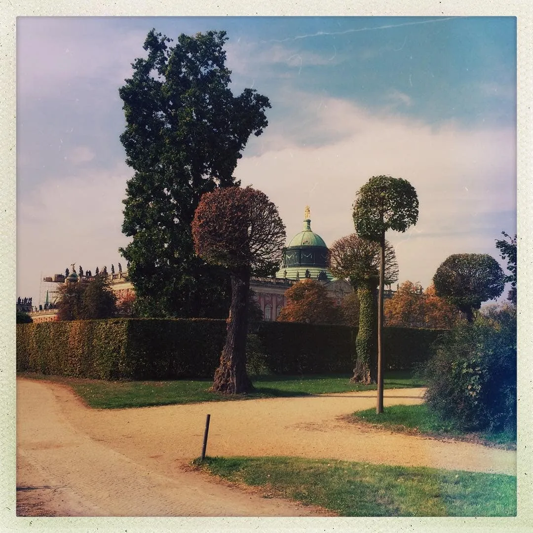 Park Sanssouci in Potsdam – Novemberspaziergang zwischen Schloss und Neuem Palais
