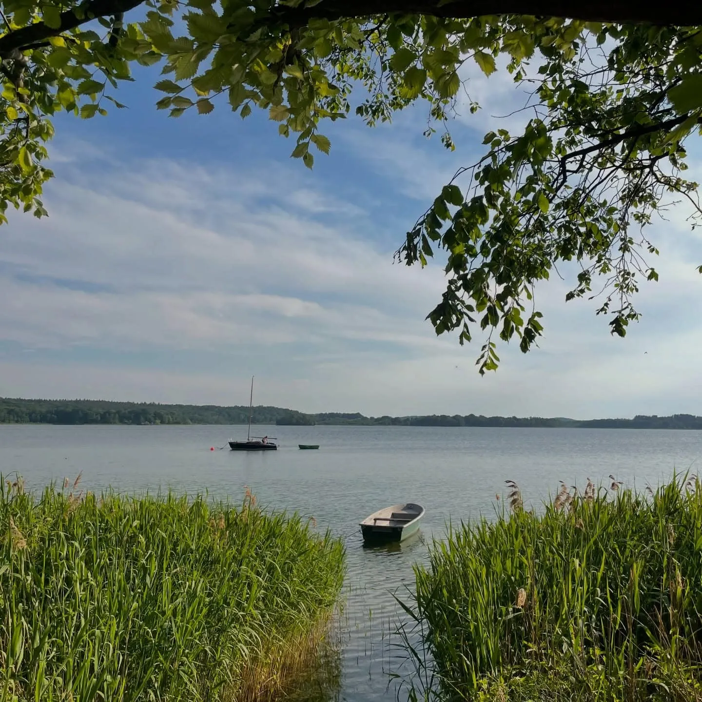 Parsteiner See – Klarwasser-Badesee bei Chorin