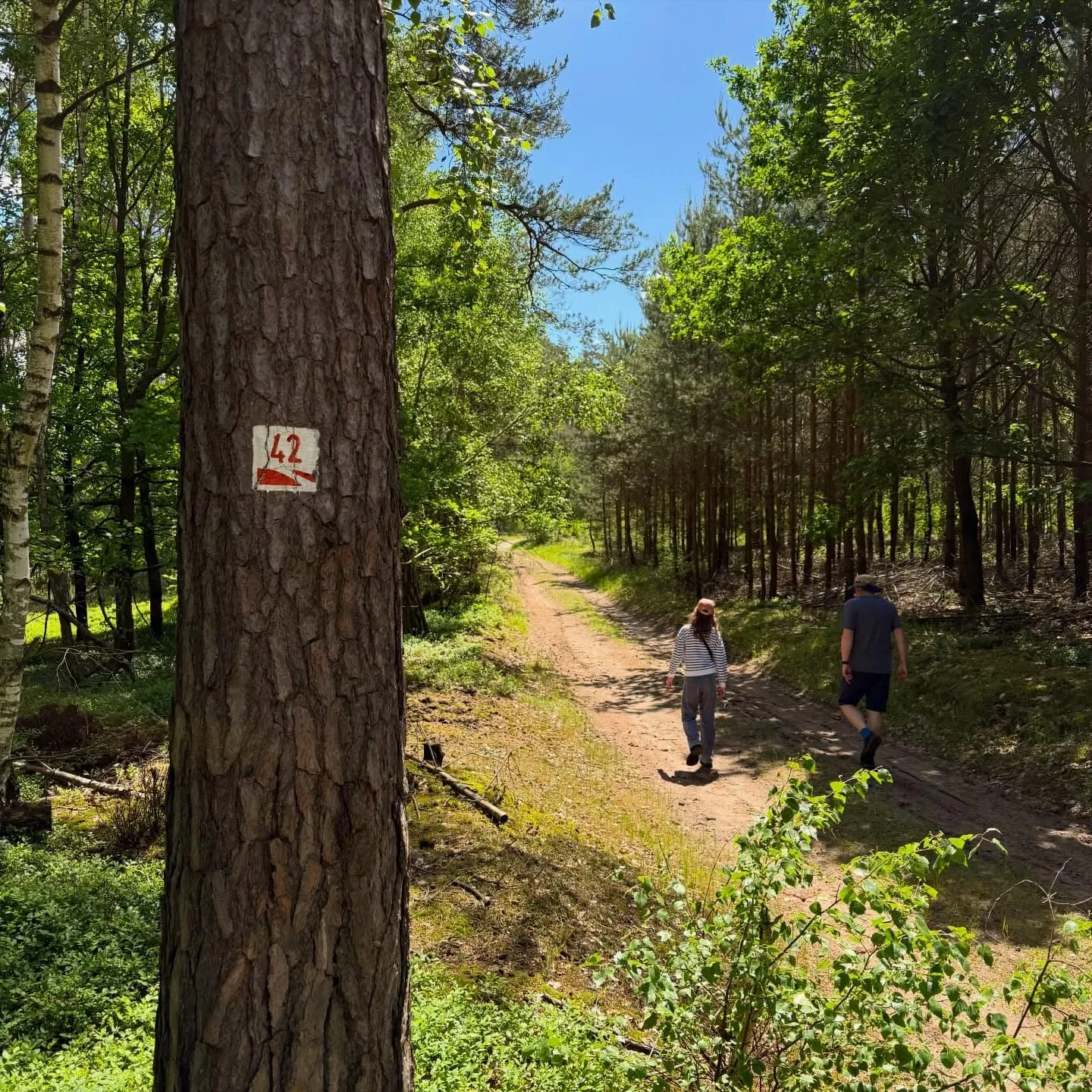 Rundwanderweg 42 ab Burg Rabenstein – 7 km durch den Hohen Fläming