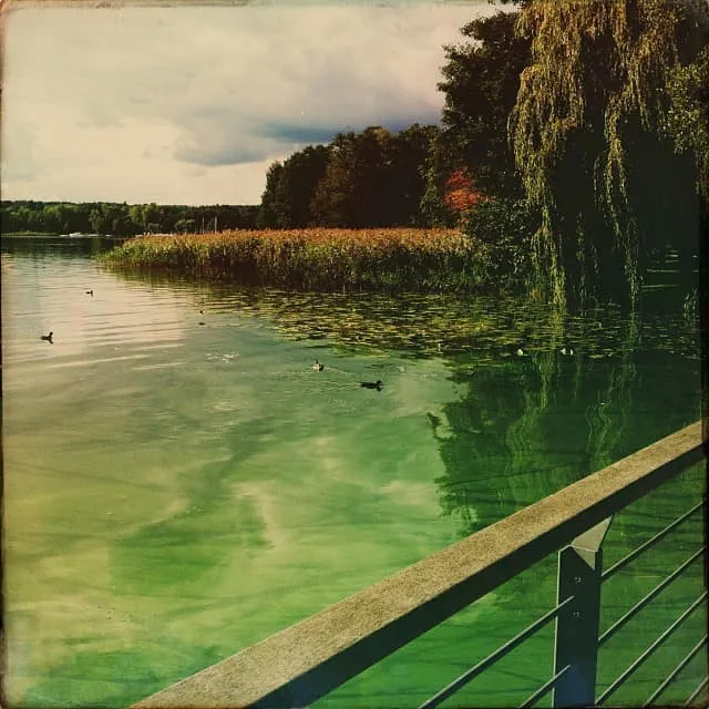 Scharmützelsee im Oktober – Uferspaziergang in Bad Saarow