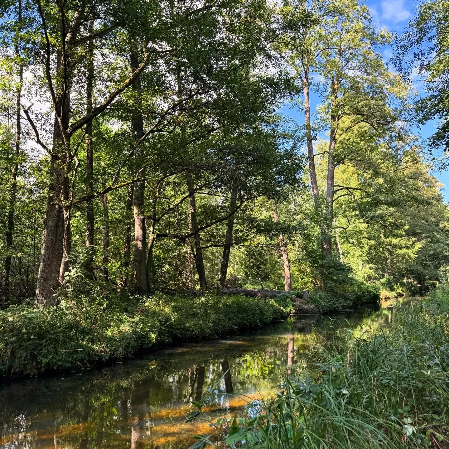 Schlepzig und der wilde Spreewald – 14-km-Runde nach Groß Wasserburg