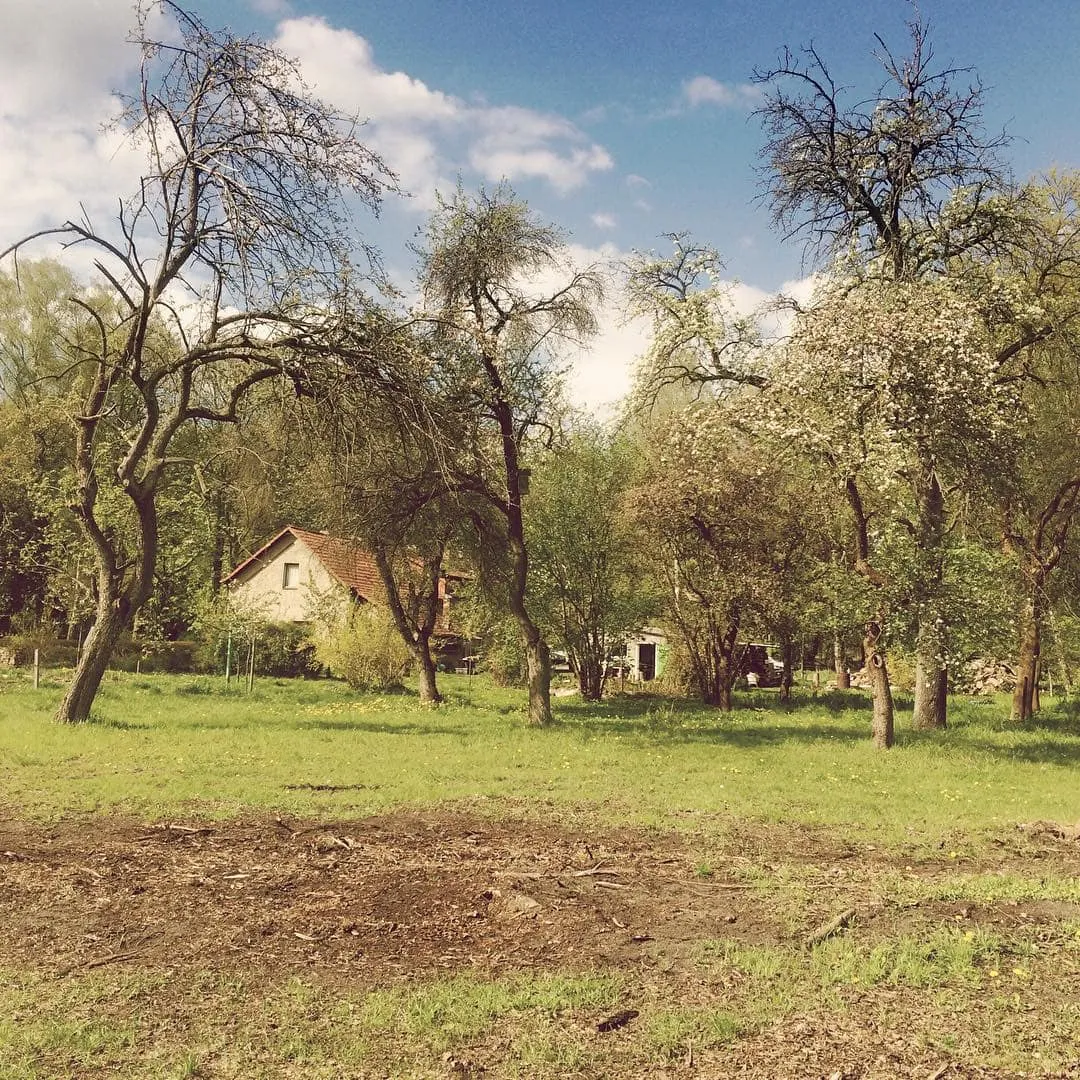 Schlossgut Schwante – Skulpturenpark, Wagyu-Bratwurst und eine Seerunde
