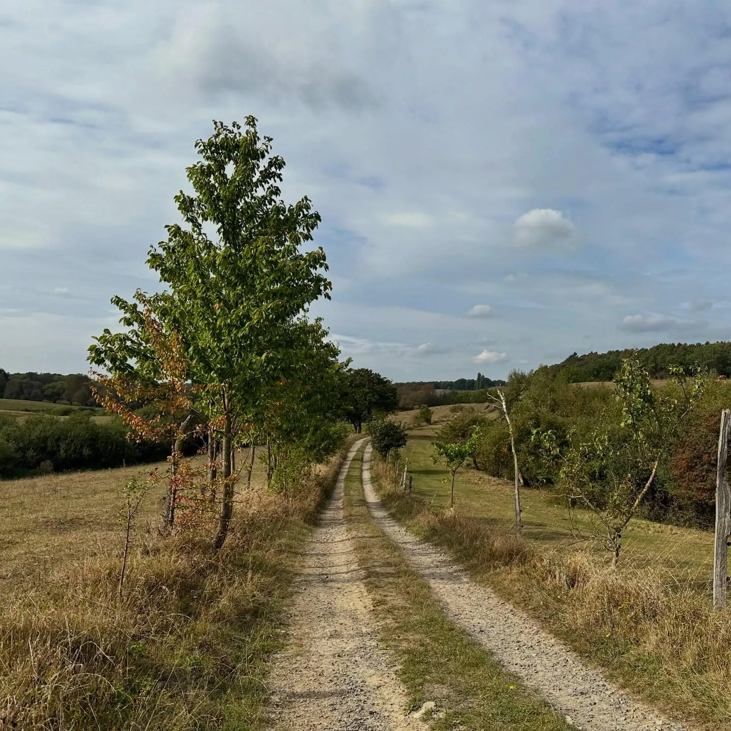 Schöpfungspfad in der Buckowseerinne – 9 km wandern bei Wandlitz