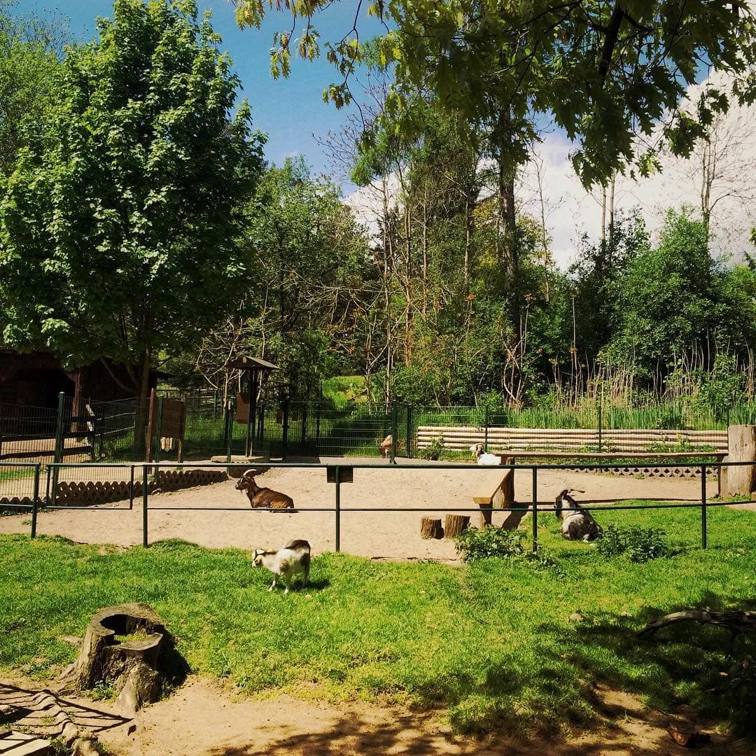 Tierpark Kunsterspring bei Neuruppin – Waldtierpark im Dezember