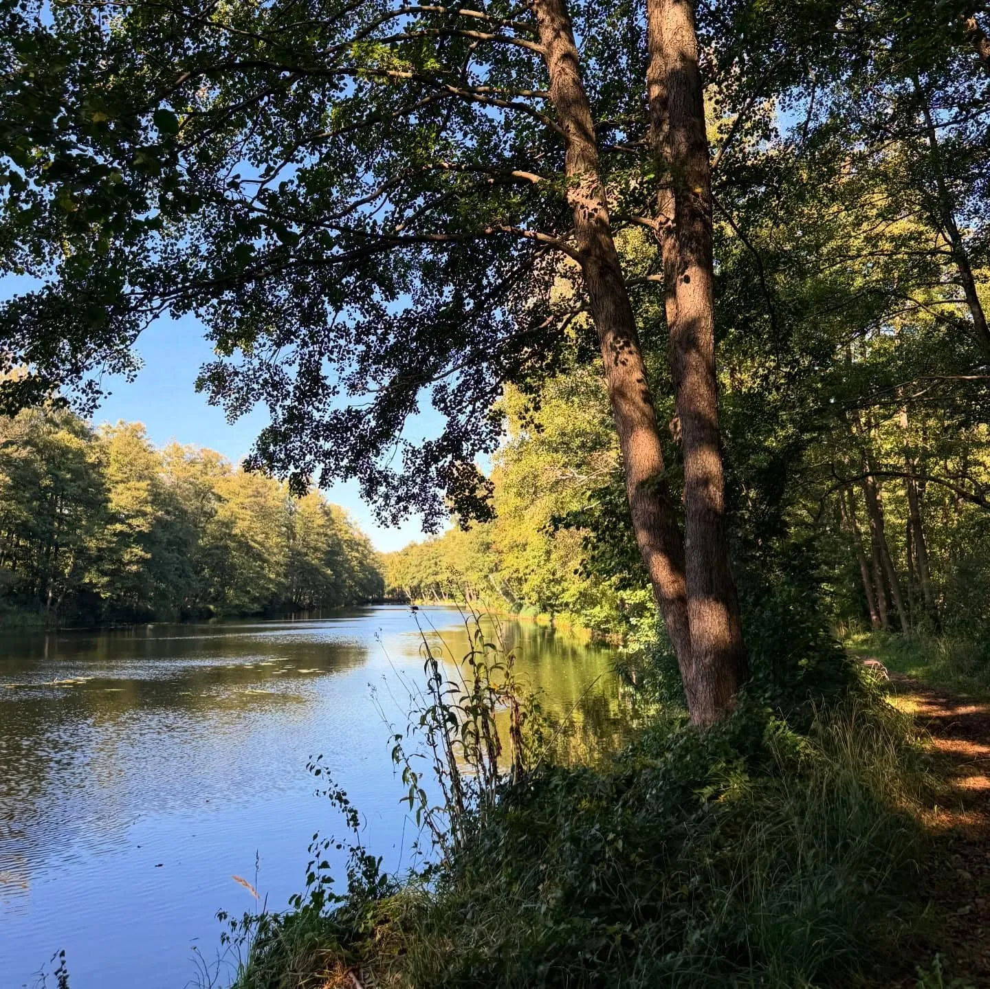 Werbellinkanal – 9,3-km-Runde von Wildau nach Eichhorst