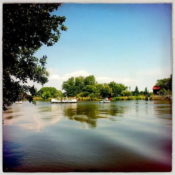 Westoder bei Mescherin im Juni – stiller Grenzfluss in der Uckermark