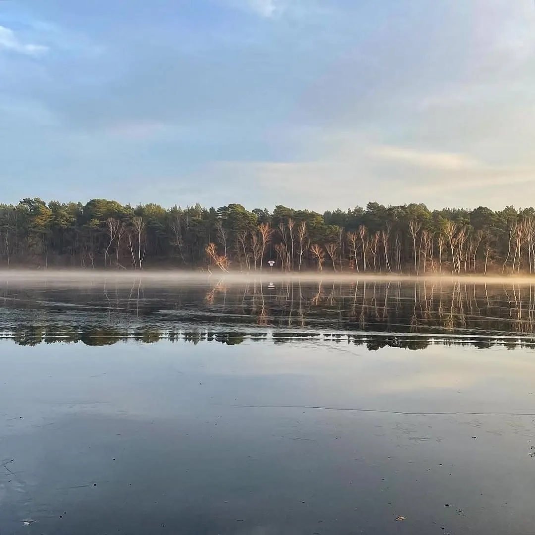 Winterlicht in Brandenburg – ein Dezembernachmittag ohne Ziel